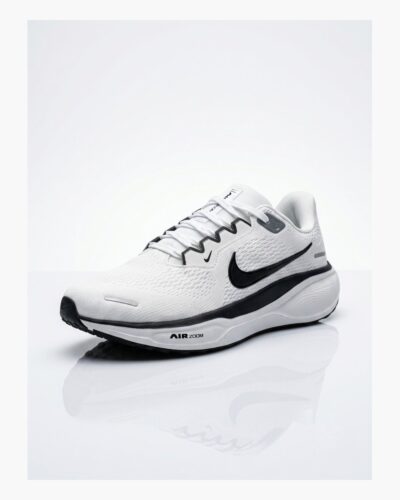 NK Zoom Pegasus 41 White